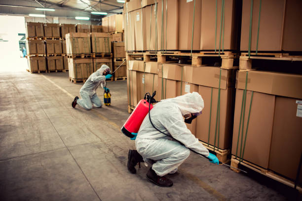 Best Best Pest Control Companies  in Orland Hls, IL