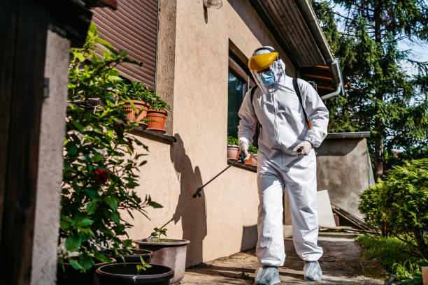 Best Wasp Removal Services  in Orland Hls, IL