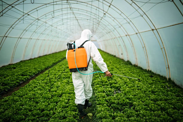 Best Mosquito Control Services  in Orland Hls, IL