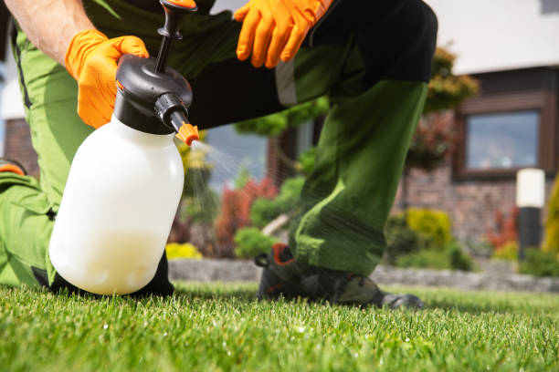 Reliable Orland Hills, IL Pest Control Solutions