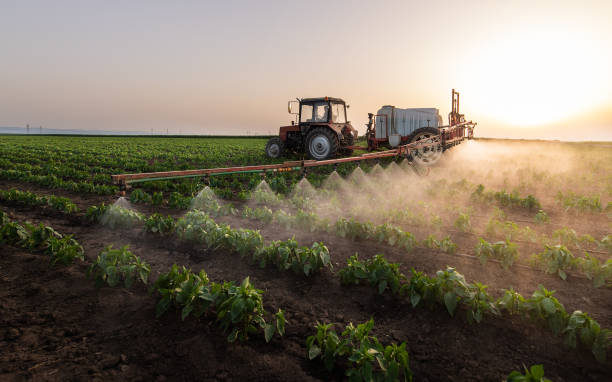 Best Pest Control Near Me  in Orland Hls, IL