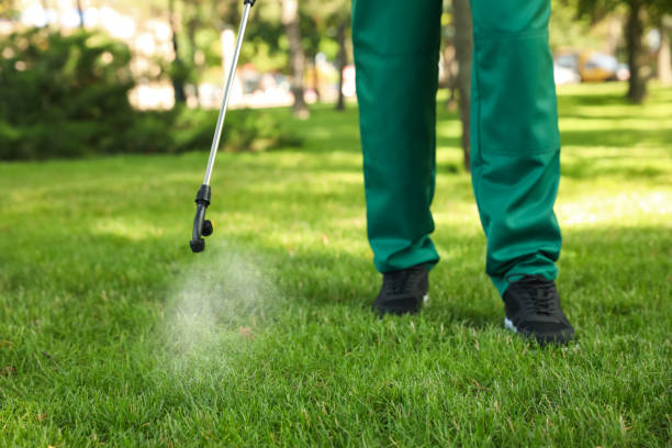 Pest Prevention Services in Orland Hills, IL