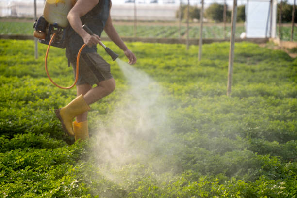 Best Affordable Pest Control Services  in Orland Hls, IL
