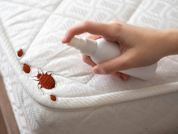 Best Exterminator Services  in Orland Hls, IL