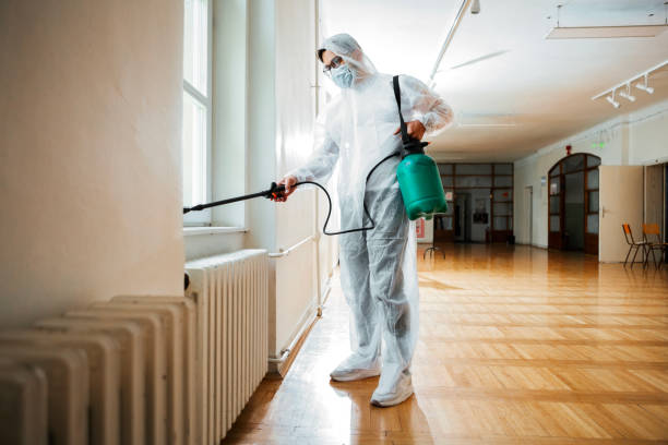 Best Rat Extermination Near Me  in Orland Hls, IL