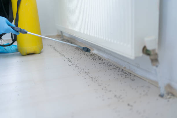  Orland Hls, IL Pest Control Pros