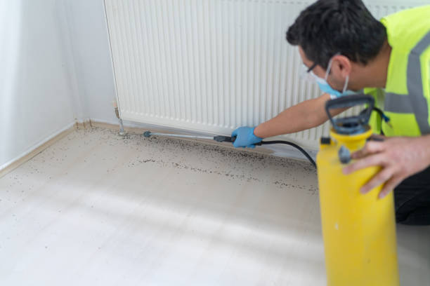 Best Pest Inspection Near Me  in Orland Hls, IL