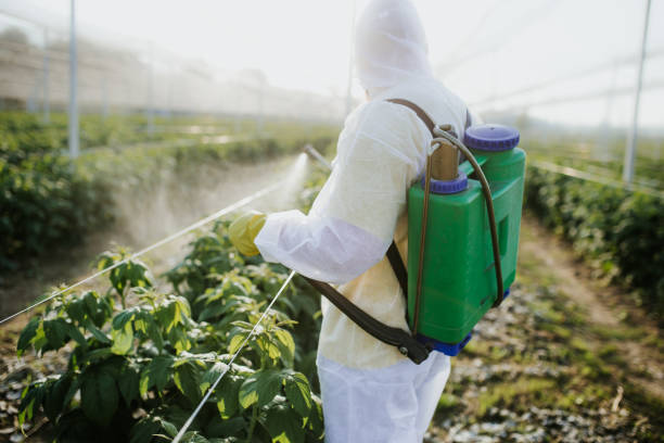 Best Ant Control Services  in Orland Hls, IL